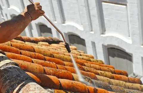 Nettoyage de toitures - Nantes-en-Ratier